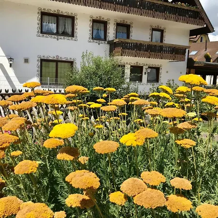 Hotel-pension Zum Bierhaus 3* Rötenbach