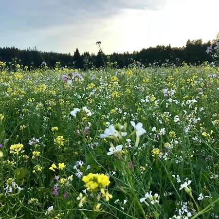 Hotell Hotel-pension Zum Bierhaus 3*