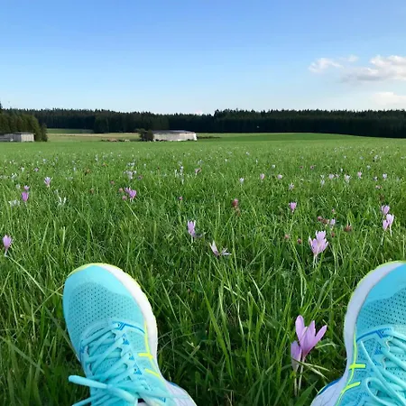 Hotel-pension Zum Bierhaus Hotell Rötenbach